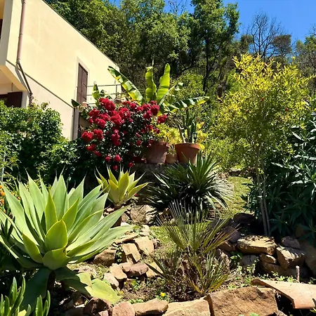 Affittacamere Forest Hideout 4*