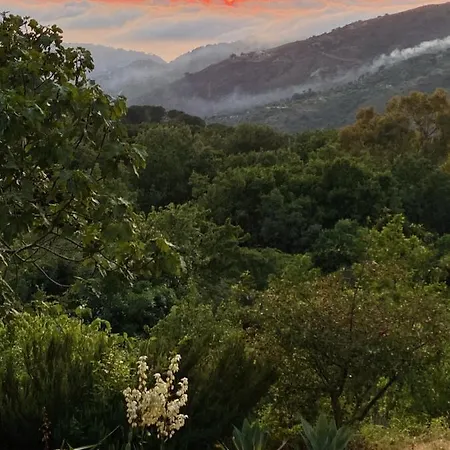 Forest Hideout Maison d'hôtes 4*