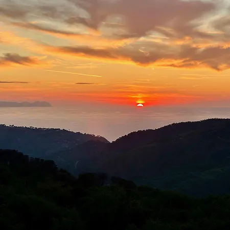 Maison d'hôtes Forest Hideout 4*