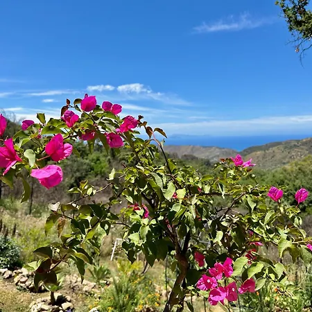 Forest Hideout Maison d'hôtes Cefalù