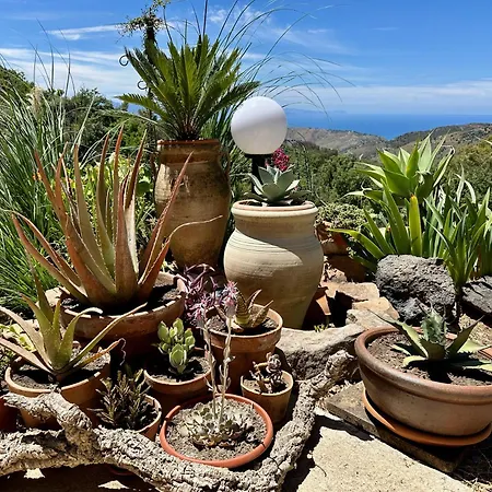 Maison d'hôtes Forest Hideout