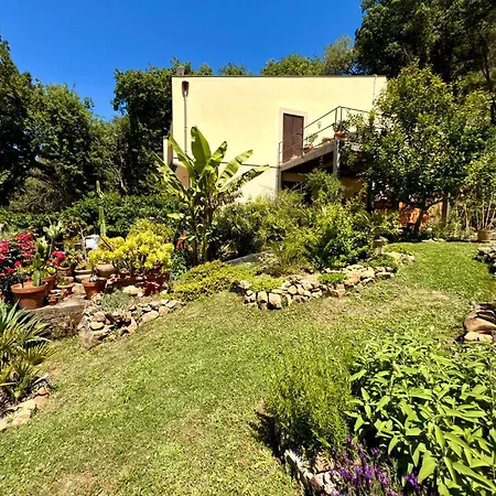 Maison d'hôtes Forest Hideout