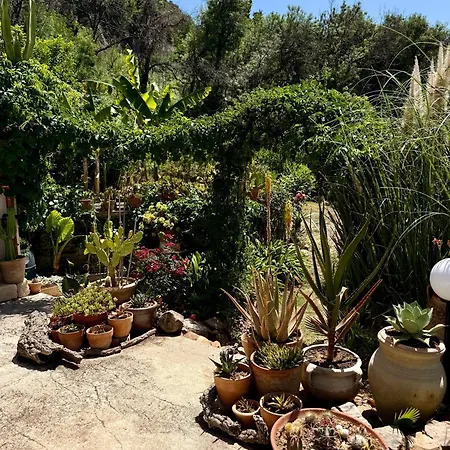 Forest Hideout 3* Cefalù