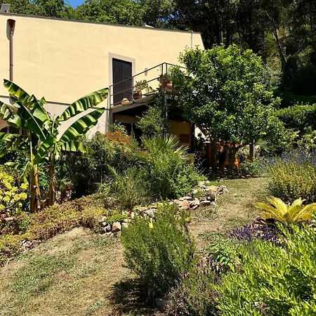 Forest Hideout Πανσιόν Cefalù